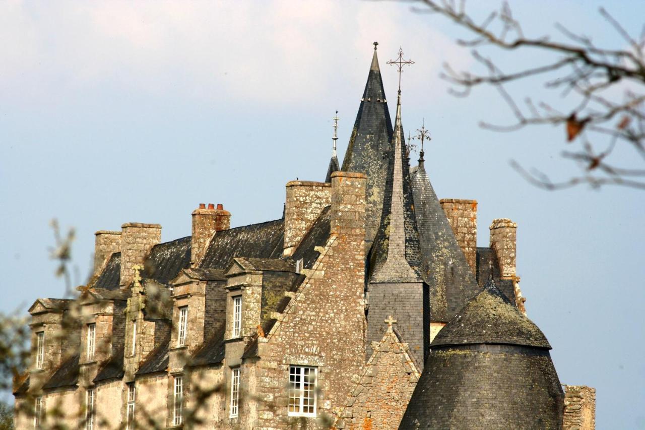 Chateau De Bourgon Montourtier Esterno foto