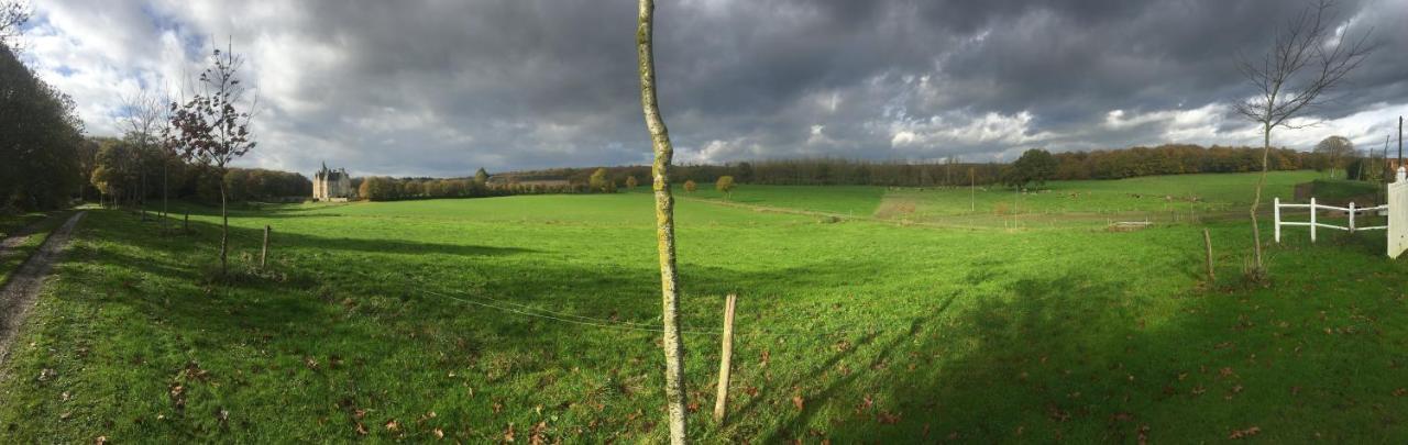 Chateau De Bourgon Montourtier Esterno foto